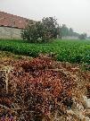 اراضى زراعية للبيع بالتقسيط في 
